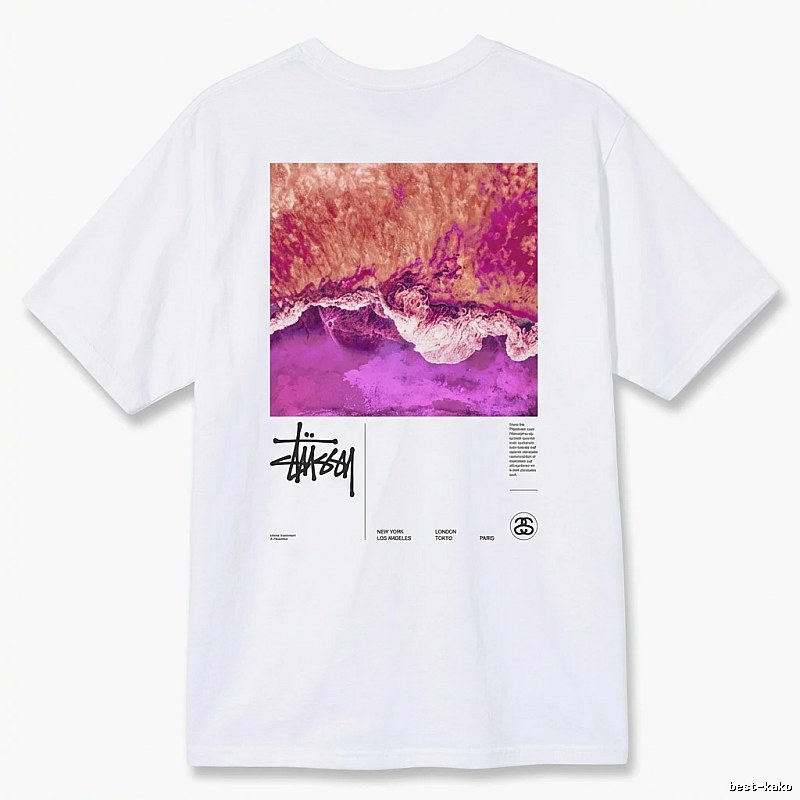 Stussy wave - printed white T - shirt